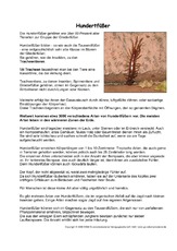 Hundertfüßer-Steckbrief.pdf
